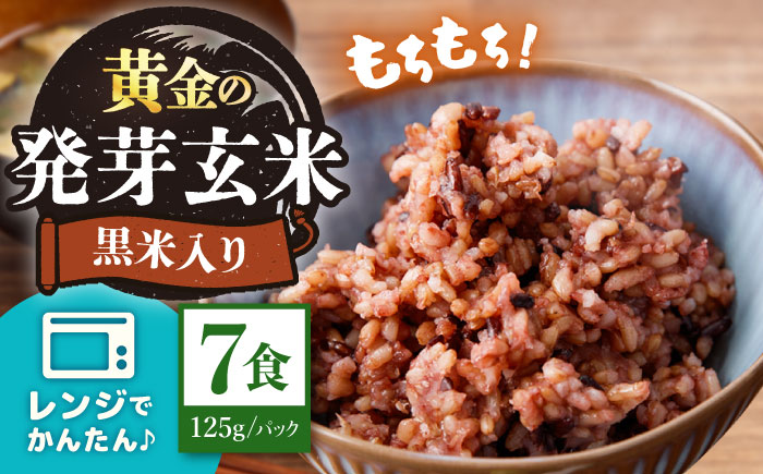 【農家のこだわり米】 黄金の発芽玄米 黒米入り パックご飯 125g×7食＜AgriBaseさいかい＞[CGV001]