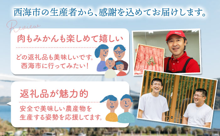 【6回 定期便 】お肉と海の幸〜見つけた！西海の宝物定期便〜 西海市 定期便 月替わり 長崎和牛 サーロイン さーろいん ステーキ 鰻 うなぎ [CZZ021]