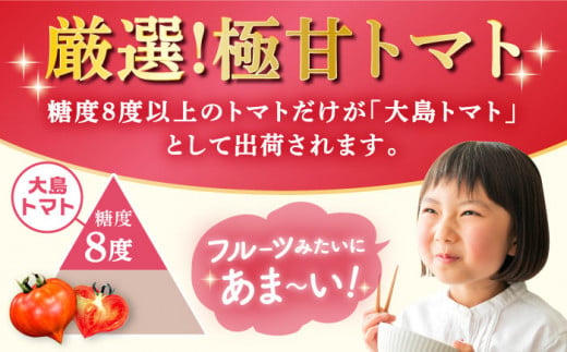 高糖度 トマト 【2025年収穫分先行予約】 高糖度 トマト 【糖度8度以上！】 大島トマト 約3kg   西海市産 トマト とまと 野菜 新鮮 旬 ＜大島造船所 農産グループ＞ [CCK005]