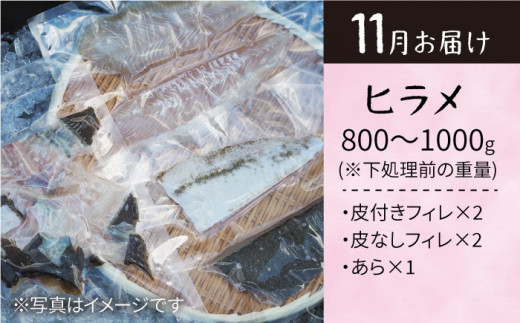 【旬のお魚定期便】大島の海の幸を贅沢定期便に！＜大島水産種苗＞ [CBW013]