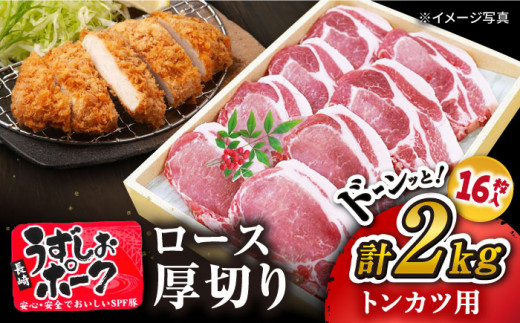 【 訳あり 】【とんかつやトンテキに！】 長崎 うずしおポーク ロース計2kg（8枚入り×2パック）＜スーパーウエスト＞ [CAG117]