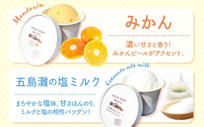 【年中人気】【12回定期便】 おまかせジェラート  8個 ＜みかんドーム＞ [CAI033]