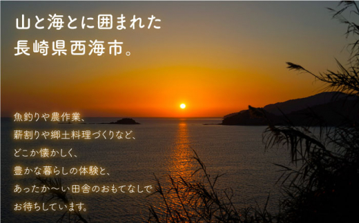 【一生の思い出に】 民泊体験 一泊二食ペア宿泊券＜山と海の郷さいかい＞ [CDO001]