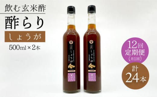 【飲む玄米酢】 【12回定期便】酢らり 大瓶2本セット（しょうが）＜川添酢造＞ [CDN097]