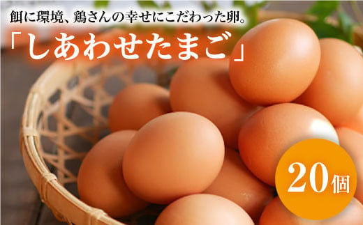 【大切な人への贈り物に】平飼い「しあわせたまご」20個＜松本養鶏場＞ [CCD026]