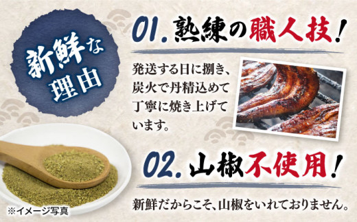 うなぎ 冷蔵 国産 うなぎの蒲焼 180g×2匹 秘伝のタレ付き！ うなぎ 鰻 ウナギ 鰻の蒲焼 冷蔵 うなぎ 国産 お取り寄せ鰻 うなぎ 土用の丑の日 うなぎ ＜入口屋＞［CCA002］