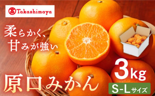 【高島屋選定品】【九州屋】【先行予約】原口みかん3kg（S～Lサイズ）＜高島屋＞ 限定数100 [CFQ055]