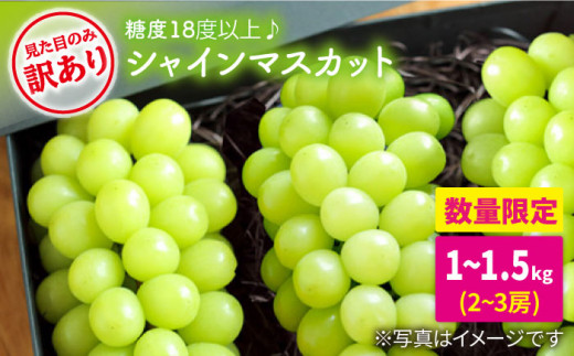 【ご家庭におすすめ♪糖度18度以上！】シャインマスカット1～1.5kg（2,3房）＜井上ぶどう園＞［CCE001］