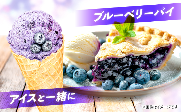 【2026年6月中旬より順次発送】完熟 生 ブルーベリー 計1kg（約500g×2パック） ＜広津農園＞ [CBN008] 冷蔵 栽培期間中 農薬不使用 ブルーベリー 果物 果実 冷蔵 生ブルーベリー ブルーベリー 西海市産