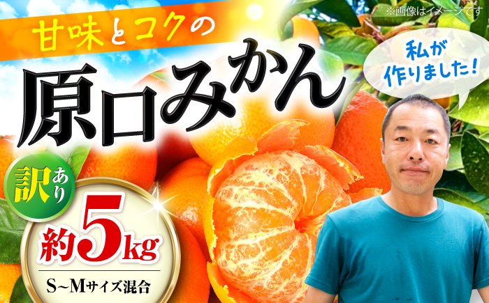 [ご家庭用][訳あり] 原口みかん 約 5kg(S〜Mサイズ混合) [最強の兼業農家山田さん] 