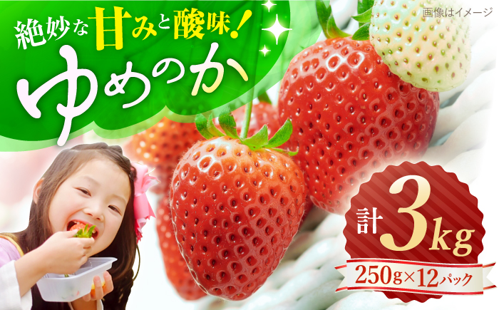 【先行予約】 ゆめのか いちご 計3kg（250g×12パック）＜川原農園＞ [CDR011]