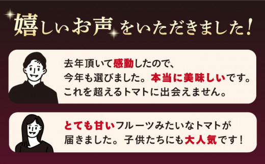 高糖度 トマト 【2025年収穫分先行予約】【糖度9度以上！】 大島トマト 特選「 ルビーのしずく 」約1.2kg  西海市産 トマト とまと 野菜 新鮮 旬  ＜大島造船所 農産グループ＞ [CCK016]