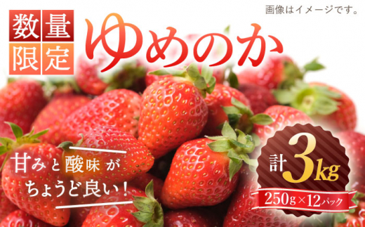 【☆先行予約☆】【数量限定】 ゆめのか いちご 約3kg（250g×12パック）＜川原農園＞ [CDR011]