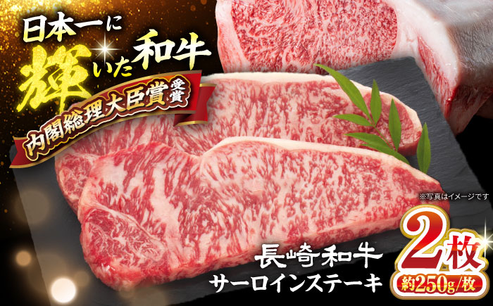 長崎和牛 サーロイン ステーキ 計500g(2枚)[大西海ファーム食肉加工センター] [CEK178] 長崎 西海 和牛 牛肉 サーロインステーキ 焼肉 BBQ 贈答 ギフト