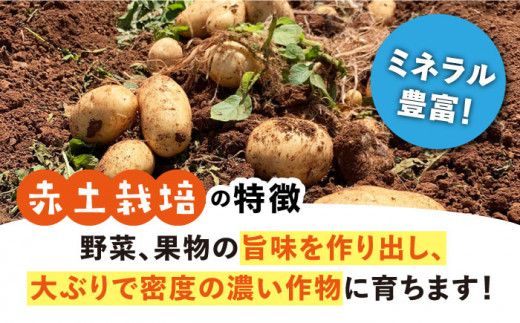 じゃがいも 西海市産 約 10kg  ジャガイモ じゃがいも 芋 西海市産 じゃがいも  ＜ファームまるだ＞ [CDT002]