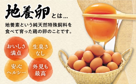 【12回定期便】最高級 卵 かきやまの「地養 卵 」 Lサイズ 40個 国産たまご たまご 卵 玉子 タマゴ 鶏卵 たまごやき 卵かけご飯 卵焼き たまご 西海市産 ＜垣山養鶏園＞ [CBB004]