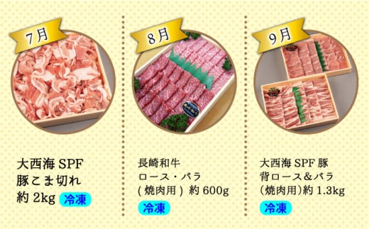 【12回 定期便 】お肉と果物～見つけた！西海の宝物定期便～ 長崎市 西海市 長崎和牛 サーロイン さーろいん ステーキ SPF豚 ブランド豚 みかん ミカン [CZZ019]