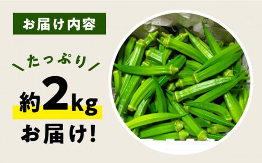 オクラ 約 2kg おくら オクラ 野菜 夏野菜 新鮮 やさい おくら 贈答 ＜パッパラパー農園＞ [CFI004]