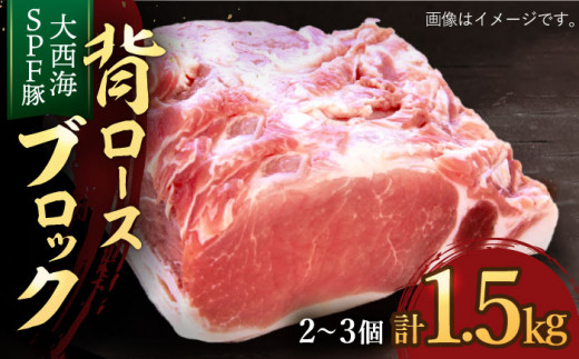 【訳あり】【肉塊で肉会】大西海SPF豚 背ロースブロック 計1.5kg（2～3個）＜大西海ファーム＞ [CCY027]