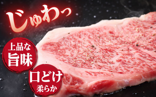 【12回定期便】 長崎和牛 サーロイン ステーキ  約600g（3枚） サーロイン さーろいん 牛肉 ブランド牛 高級 和牛 国産牛 ＜ミート販売黒牛＞ [CBA072]