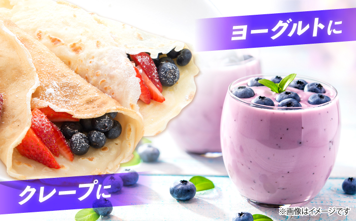 【2026年6月中旬より順次発送】完熟 生 ブルーベリー 計1kg（約500g×2パック） ＜広津農園＞ [CBN008] 冷蔵 栽培期間中 農薬不使用 ブルーベリー 果物 果実 冷蔵 生ブルーベリー ブルーベリー 西海市産