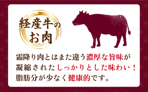 【3回定期便】 サーロイン ステーキ 長崎県産黒毛和牛 500g（2～3枚）  和牛 牛 牛肉 サーロイン ステーキ 牛ステーキ ＜宮本畜産＞ [CFA031]