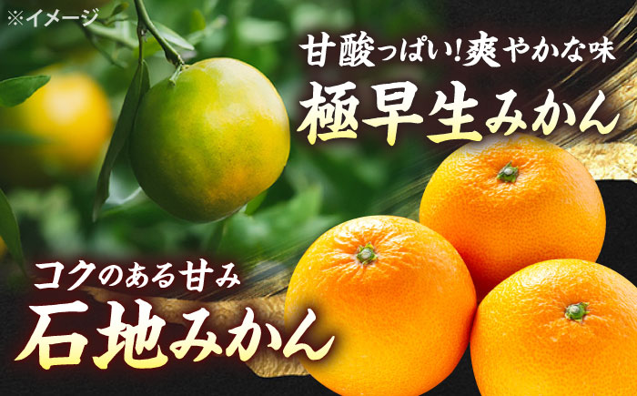 【12回 定期便 】お肉と果物〜見つけた！西海の宝物定期便〜 長崎市 西海市 長崎和牛 サーロイン さーろいん ステーキ SPF豚 ブランド豚 みかん ミカン [CZZ019]