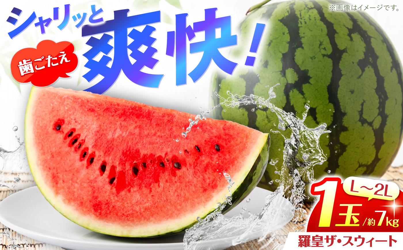 羅皇ザ・スウィート 1玉（L～2L）約7kg ＜AgriBaseさいかい＞ [CGV005]