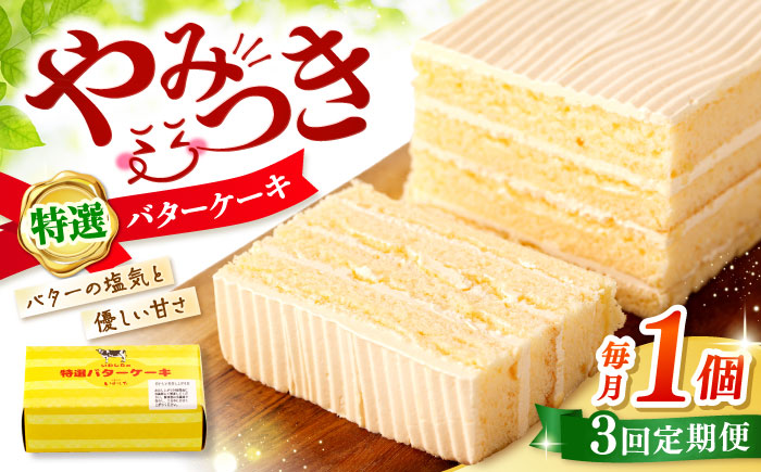 【3回定期便】【ブーム再来！あの頃を思い出す味】 特選 バターケーキ 1個 ＜お菓子のいわした＞ [CAM049]