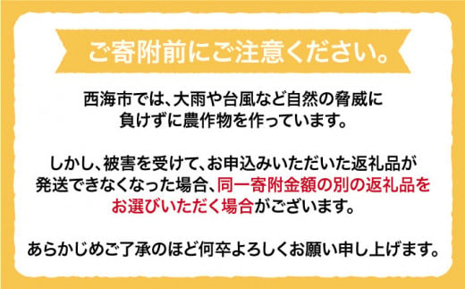 【数量限定】【贈答用にも♪】屋根かけ完熟不知火 約5kg＜中尾果樹園＞ [CEL003]