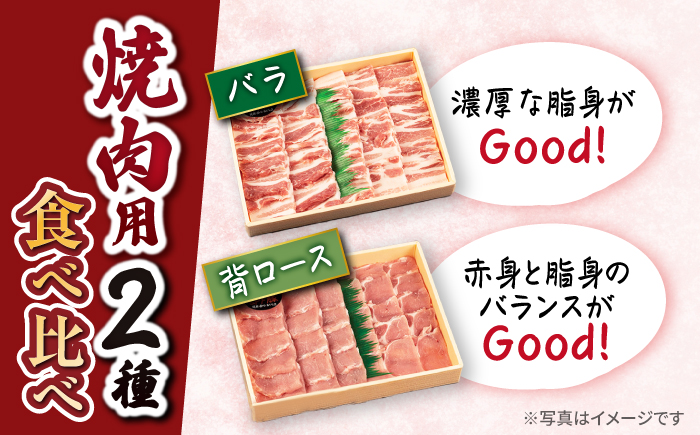 大西海 SPF豚 背ロース ＆ バラ （ 焼肉 用）計1.2kg（各600g）訳あり ＜大西海ファーム＞ [CCY007] 西海市 豚肉 肉 焼肉 焼き肉 やきにく 焼肉食べ比べ 豚バラ 豚ロース 贈答 ギフト プレゼント  訳あり 