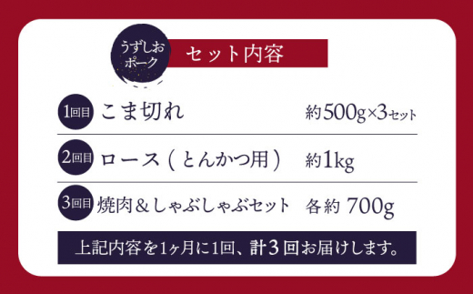 【ブランド豚】【3回定期便】【訳あり】うず潮ポーク 定期便 国産豚 ＜スーパーウエスト＞ [CAG250]