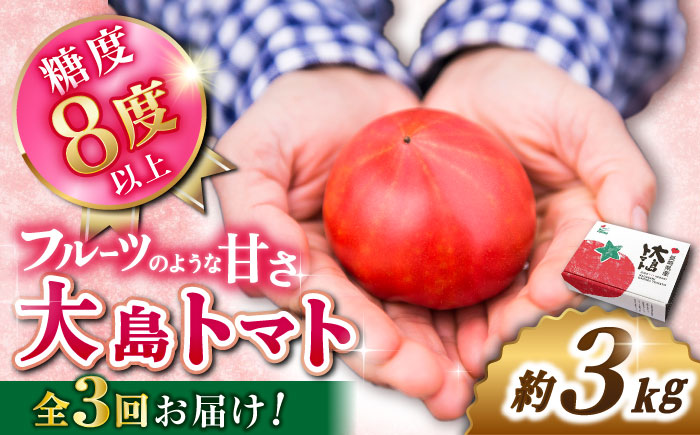 【3月中旬より配送開始】【3回定期便】糖度8度以上！ 大島 トマト 約3kg ＜大島造船所 農産グループ＞ [CCK006] 長崎 西海 トマト とまと 大島トマト 高糖度 贈答 定期便 人気 高評価 甘い 野菜 トマト