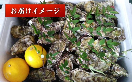 牡蠣 カキ 【着日指定可】西海 ブランド 牡蠣 「 ハマボウ 」 約4kg（40～50個）（中～大サイズ） カキ 牡蠣 生ガキ 4kg 日時指定 冷蔵 牡蠣 カキ 牡蠣 ＜ハマフジ水産＞ [CES006]