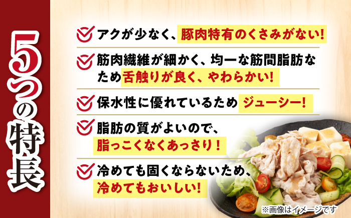 【12回定期便】【使い勝手◎】長崎うずしおポーク こま切れ 計1kg（500g×2P）＜スーパーウエスト＞ [CAG313]