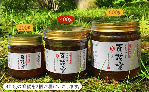 【数量限定】天然蜂蜜｢百花蜜｣ 計800g（400g×2個）《今年は希少です》＜高岸農園＞ [CCH002]