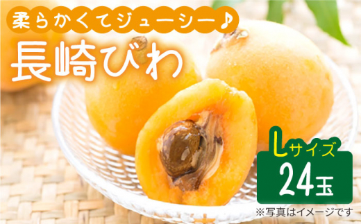 びわ Lサイズ 24玉（約1kg） 西海市 びわ ビワ 果物 フルーツ Lサイズ ＜代田浩人＞ [CEO002]