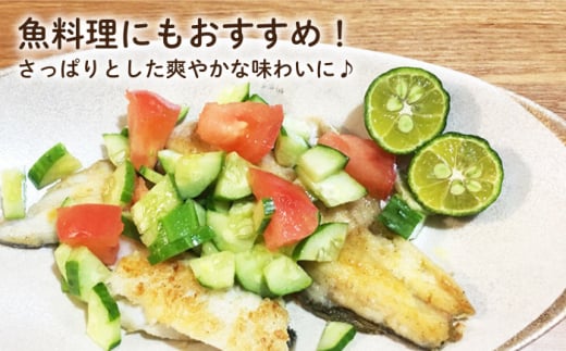 【全2回定期便】【TVで話題！】 青切り シークワーサー 約2kg×2回（計4kg）＜広津農園＞ [CBN016]