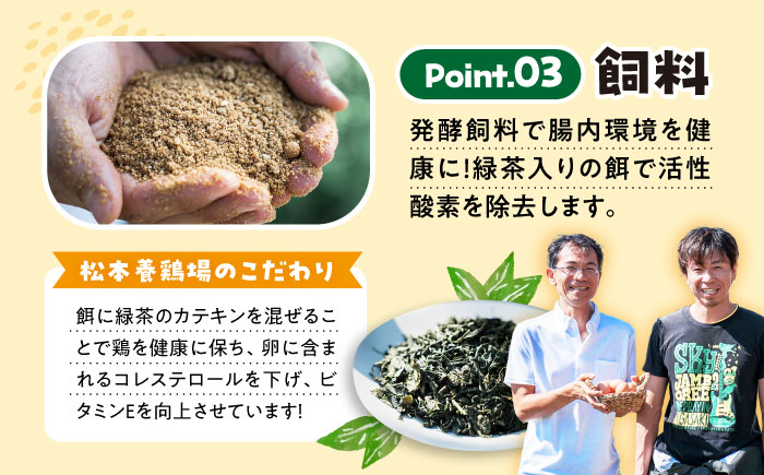 まつもとたまご Lサイズ 80個（10個×8パック）＜松本養鶏場＞[CCD009]長崎県産 西海市 たまご 卵 玉子 タマゴ 鶏卵 オムレツ 卵かけご飯 朝食 料理 人気 卵焼き 