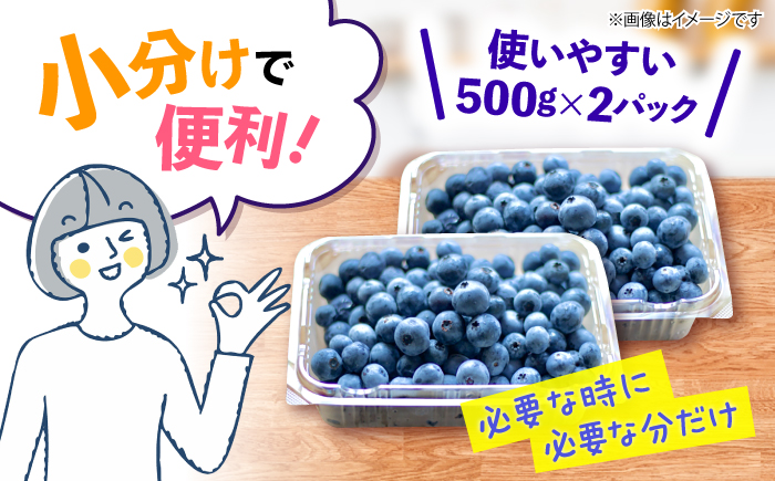 【2026年6月中旬より順次発送】完熟 生 ブルーベリー 計1kg（約500g×2パック） ＜広津農園＞ [CBN008] 冷蔵 栽培期間中 農薬不使用 ブルーベリー 果物 果実 冷蔵 生ブルーベリー ブルーベリー 西海市産