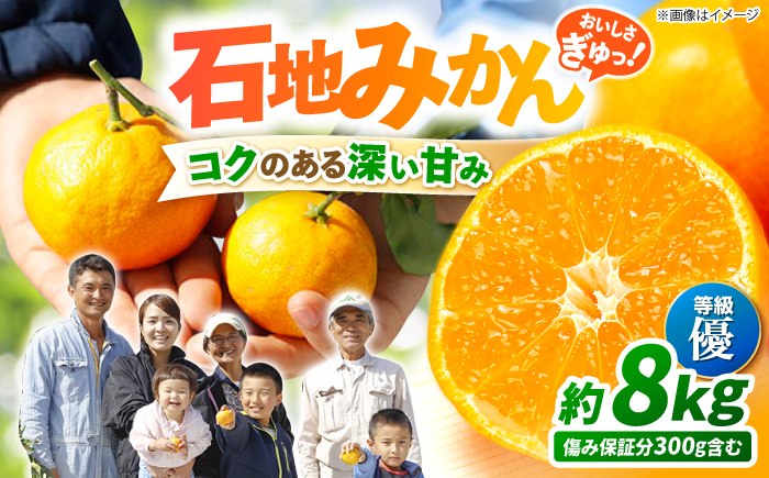 【12月上旬より配送☆優品】石地みかん 約8kg（傷み保証分300g含む）＜川添みかん園＞ [CCT006] みかん