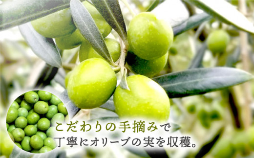 【数量限定】【2023年産】 厳選 オリーブオイル 100g×2本＜西海市オリーブ振興協議会＞ [CER001]