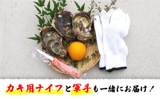 牡蠣 岩ガキ 約 2kg （約13個～20個） 牡蠣 カキ かき 生牡蠣 岩牡蠣 ナイフ付き 殻付き牡蠣 かき カキ ＜ハマフジ水産＞ [CES001]