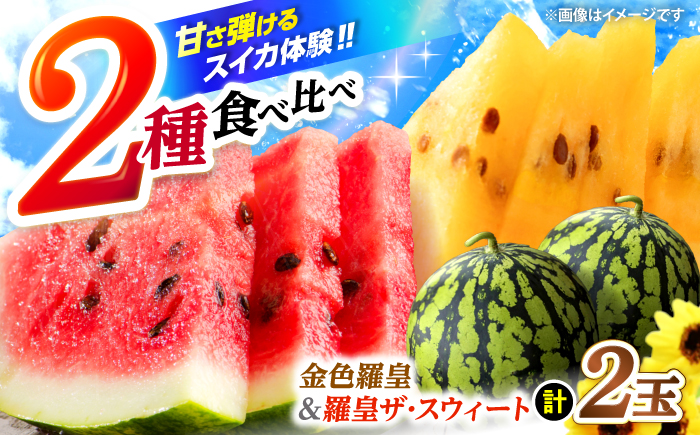 【先行予約：2026年7月上旬より配送】【食べ比べ】 金色羅皇＆羅皇ザ・スウィート（計2玉） ＜ファームまるだ＞ [CDT008]