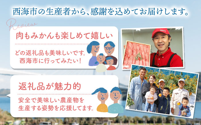 【6回定期便】 お肉 と 果物 〜見つけた！ 西海 の宝物 定期便 〜 [CZZ018]   長崎県 西海市 長崎和牛 サーロイン さーろいん ステーキ SPF豚 ブランド豚 こま切れ みかん ミカン 不知火 人気 定期便 