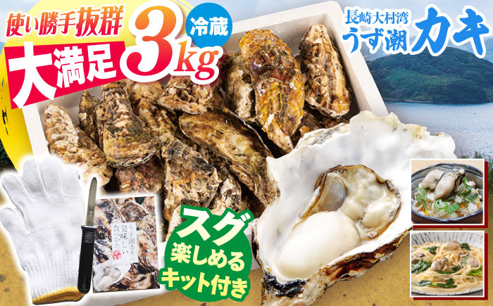 カキ 牡蠣 【着日指定可☆オゾン水で24時間浄化】【冷蔵】うず潮 カキ 約3kg（約30〜50個） 牡蠣 カキ 生牡蠣 生ガキ 殻つき 冷蔵 西海 長崎 贈答 ギフト 日時指定可 ＜西彼町漁協＞［CBZ001］