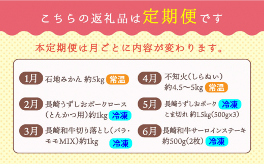 【6回定期便】お肉と果物～見つけた！西海の宝物定期便～ [CZZ018]