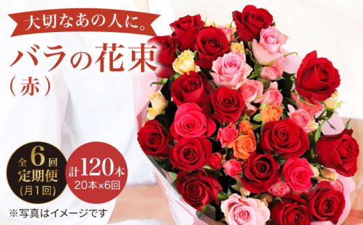 【6回定期便】【記念日には バラ を送ろう】 バラ の 花束 （赤） 花 花束 バラ ばら ブーケ 記念日 贈答 ギフト プレゼント ＜花工房るふらん＞ [CCR021]