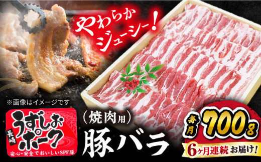 【 訳あり 】【6回 定期便 】 焼肉用 長崎うずしおポーク 豚バラ（ 焼肉 用）700g 長崎 豚 豚肉 焼き肉 バラ BBQ ブランド豚 ＜スーパーウエスト＞[CAG021]