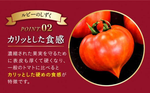 トマト 高糖度 【2025年収穫分先行予約】【2回 定期便 】【 訳あり 】糖度9度以上！ 大島 トマト 特選「 ルビーのしずく 」約1.2kg 西海市産 トマト とまと 訳あり トマト 大島トマト 甘いトマト ＜大島造船所 農産グループ＞ [CCK031]